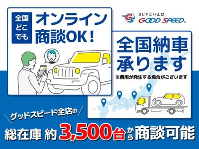 2024 Toyota LAND CRUISER 300 photo 3