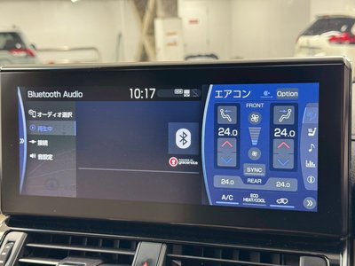 2024 Toyota LAND CRUISER 300 photo 35