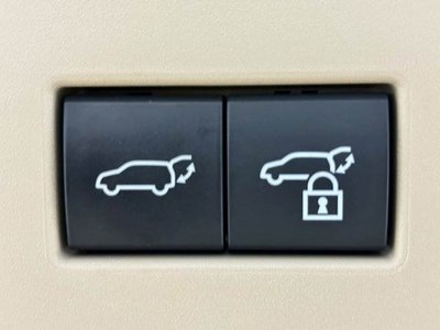 2024 Toyota LAND CRUISER 300 photo 9
