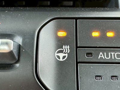 2024 Toyota LAND CRUISER 300 photo 52