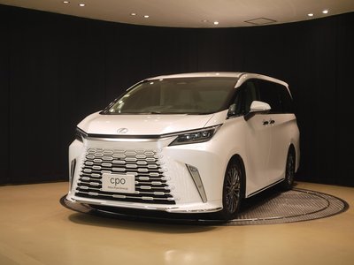 2023 Lexus LM 照片 1