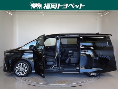 2025 Toyota ALPHARD 照片 18