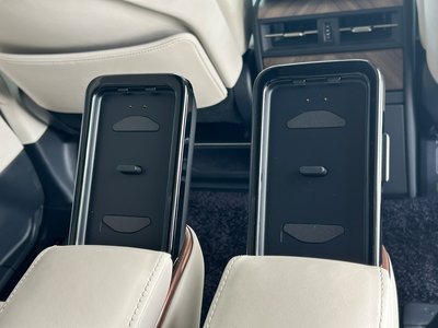 2024 Lexus LM 照片 33