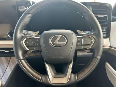 2024 Lexus LM 照片 19