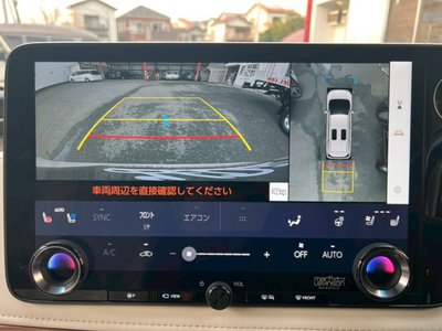 2024 Lexus LM 照片 24
