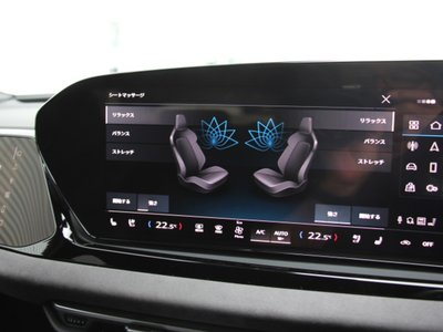 صورة 24 لـ 2025 AUDI A5 AVANT