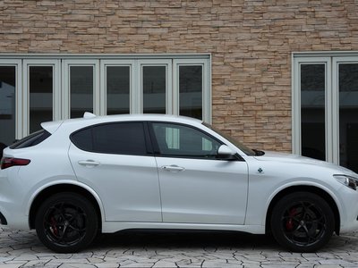 2019 ALFA Romeo STELVIO — фото 7