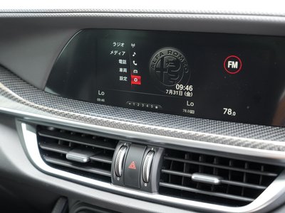 2019 ALFA Romeo STELVIO — фото 26