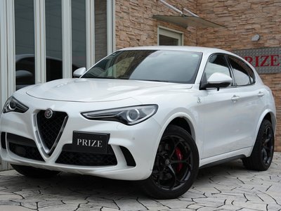 2019 ALFA Romeo STELVIO — фото 1