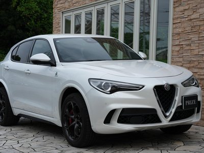 2019 ALFA Romeo STELVIO — фото 8