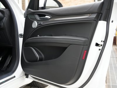 2019 ALFA Romeo STELVIO — фото 12