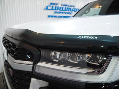 صورة 68 لـ 2025 Toyota LAND CRUISER 300