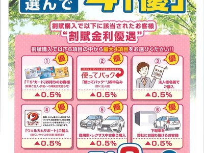 2025 Toyota LAND CRUISER 250 照片 2