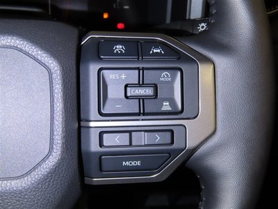 2025 Toyota LAND CRUISER 250 照片 21