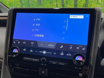 2024 Toyota ALPHARD thumbnail 27
