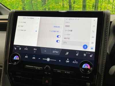 2024 Toyota ALPHARD thumbnail 29