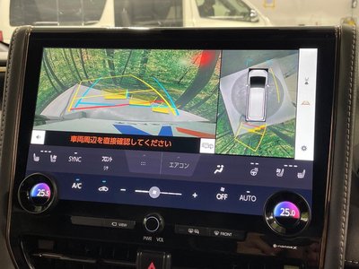 2024 Toyota ALPHARD thumbnail 31