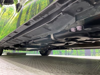 2024 Toyota ALPHARD thumbnail 22