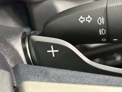 2024 Toyota LAND CRUISER 250 photo 58