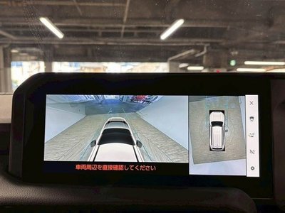 2024 Toyota LAND CRUISER 250 photo 4