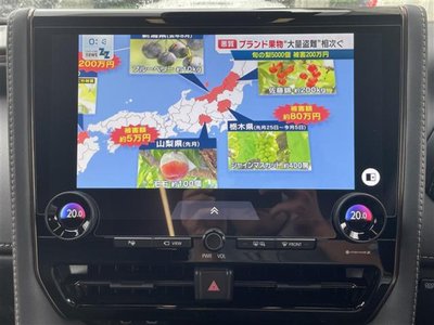 2025 Toyota ALPHARD — фото 5