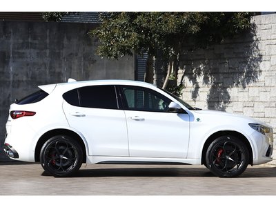 2019 ALFA Romeo STELVIO 照片 18