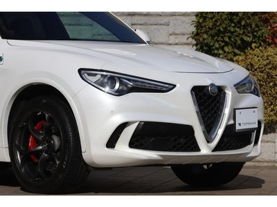 2019 ALFA Romeo STELVIO 照片 27