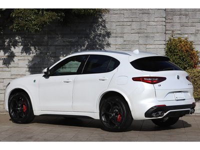 2019 ALFA Romeo STELVIO 照片 23