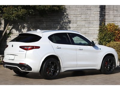 2019 ALFA Romeo STELVIO 照片 2
