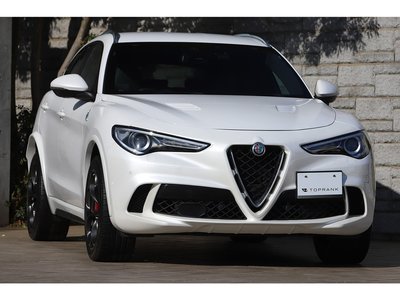 2019 ALFA Romeo STELVIO 照片 16