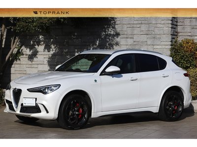 2019 ALFA Romeo STELVIO 照片 1