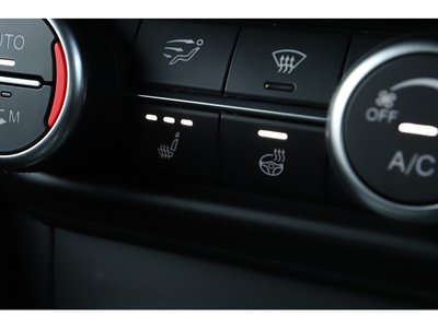 2019 ALFA Romeo STELVIO 照片 49