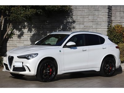 2019 ALFA Romeo STELVIO 照片 25