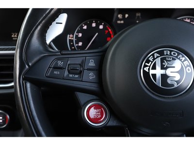2019 ALFA Romeo STELVIO 照片 45