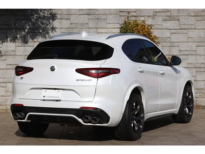 2019 ALFA Romeo STELVIO 照片 20