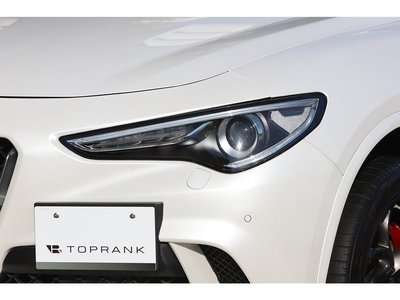 2019 ALFA Romeo STELVIO 照片 29