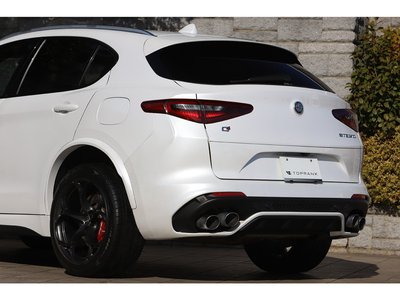 2019 ALFA Romeo STELVIO 照片 31