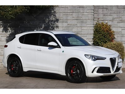 2019 ALFA Romeo STELVIO 照片 17