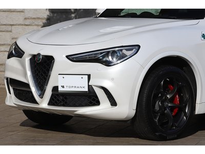2019 ALFA Romeo STELVIO 照片 28