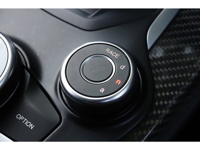 2019 ALFA Romeo STELVIO 照片 51