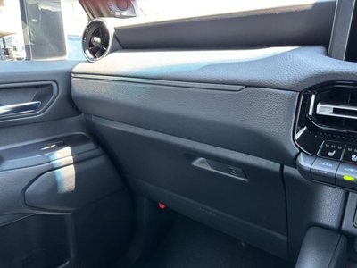 2025 Toyota LAND CRUISER 250 照片 69