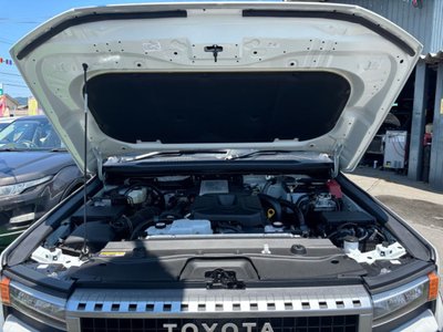 2025 Toyota LAND CRUISER 250 照片 80