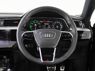 2024 AUDI Q8 SPORTBACK E-TRON photo 14
