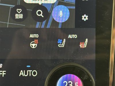 2025 Toyota ALPHARD — фото 9