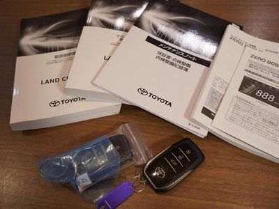 2025 Toyota LAND CRUISER 300 thumbnail 64
