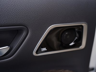 2025 Toyota LAND CRUISER 300 thumbnail 38