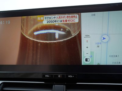 2025 Toyota LAND CRUISER 300 thumbnail 31
