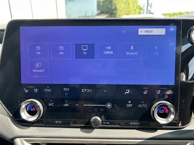 2024 Lexus RX photo 11