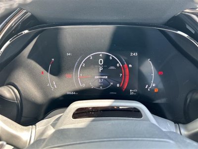 2024 Lexus RX thumbnail 19
