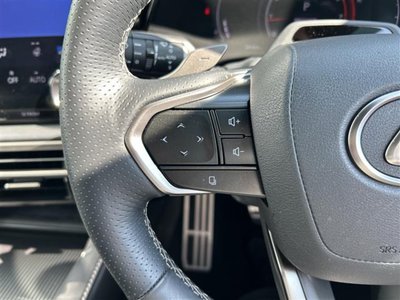 2024 Lexus RX thumbnail 27